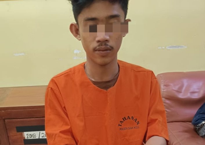 Polisi Tangkap Warga Sungai Enam Bintan Timur, Sita 28 Paket Sabu