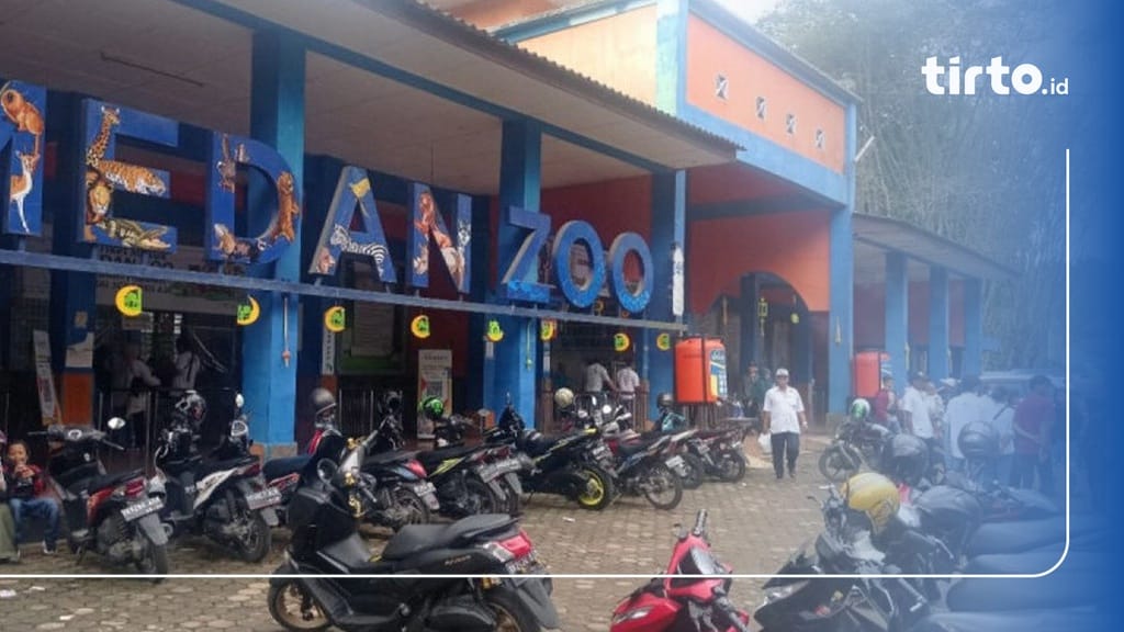 Video: Heboh Kondisi Kandang Medan Zoo Viral Tak Terawat