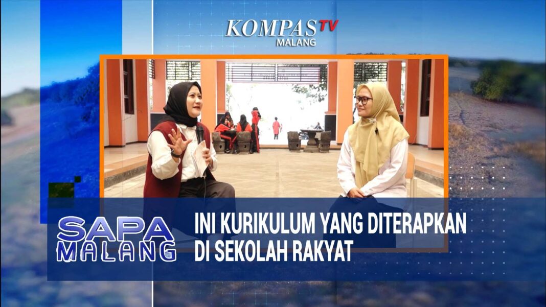 Mantan Ketua Dewan Guru Besar UGM Blak-blakan Sebut Jokowi Pembohong