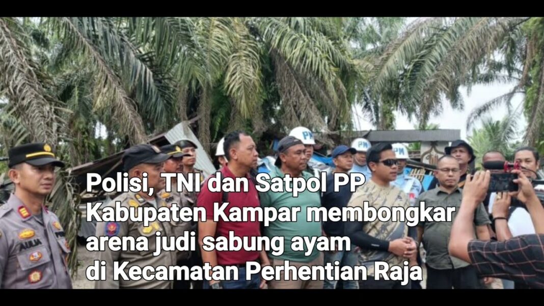 Polisi-TNI Gerebek Judi Sabung Ayam 'Bupati Arena' di Kampar