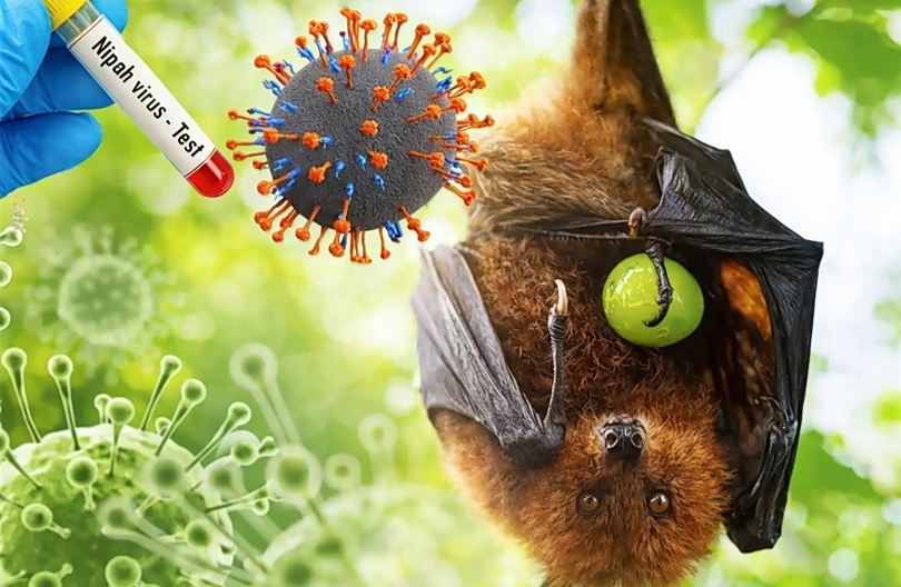 DPR: Kuatkan Kewaspadaan Nasional Terhadap Virus Nipah