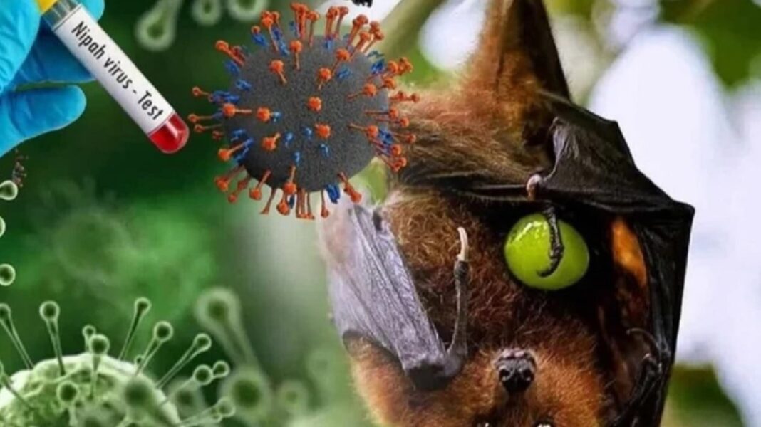 Pemerintah Perlu Perkuat Edukasi Publik Cegah Virus Nipah